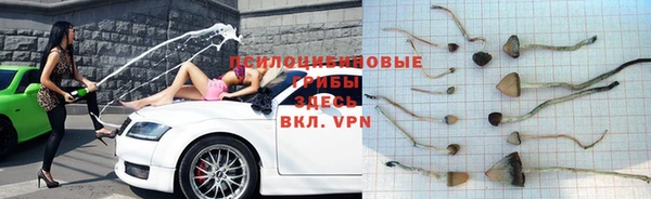 прущие крисы Баксан