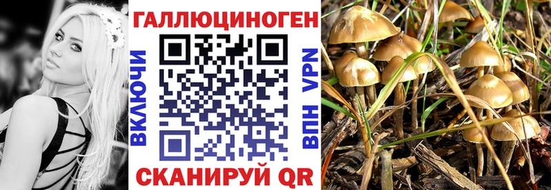 Галлюциногенные грибы MAGIC MUSHROOMS  Калуга 