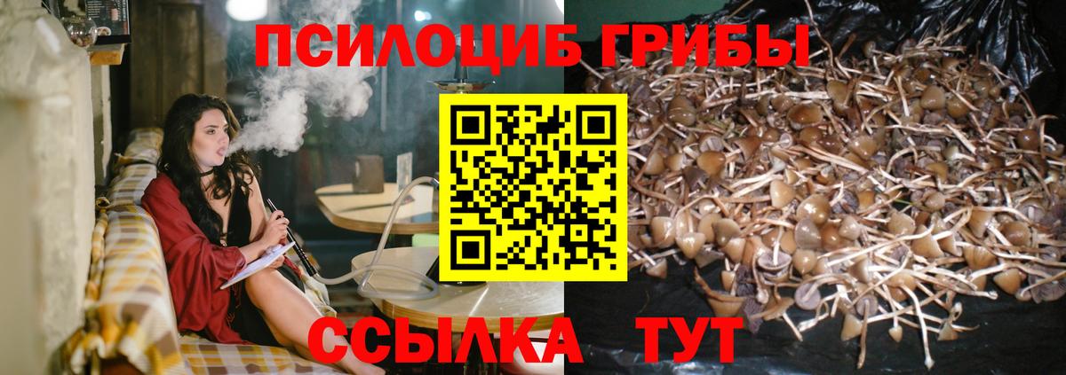 Галлюциногенные грибы мицелий  Вход с VPN  Калуга  Псилоцибиновые грибы Psilocybine cubensis 