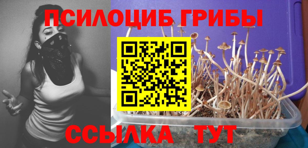 Псилоцибиновые грибы Magic Shrooms Калуга